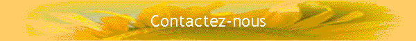 Contactez-nous