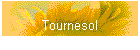 Tournesol